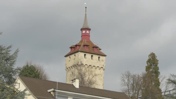 Turm Mit Rosenturm — Stockvideo