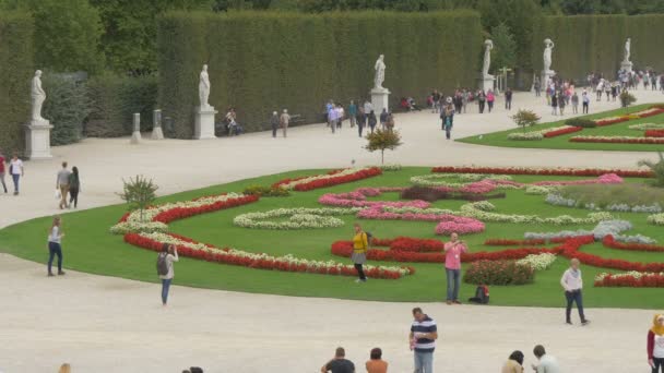 Besök Den Kejserliga Trädgården Wien — Stockvideo