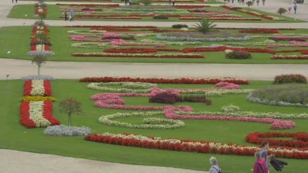 Arreglos Florales Palacio Schonbrunn — Vídeos de Stock