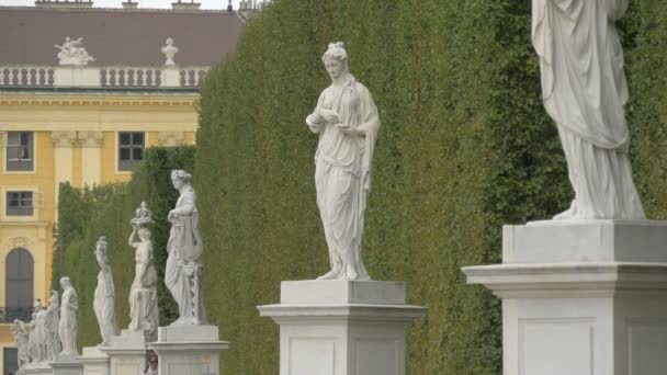 Fila Esculturas Schonbrunn Garden — Vídeos de Stock
