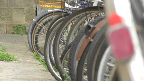 Park Halindeki Bisikletlerin Tekerlekleri — Stok video