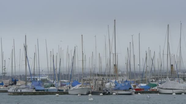 Boats Anchored Ouchy Port — Stockvideo