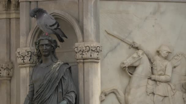 Großaufnahme Einer Taube Auf Einer Statue — Stockvideo