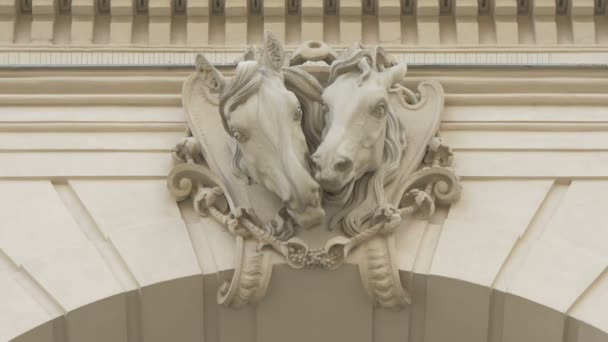 Vista Cabeza Caballo Esculturas — Vídeos de Stock