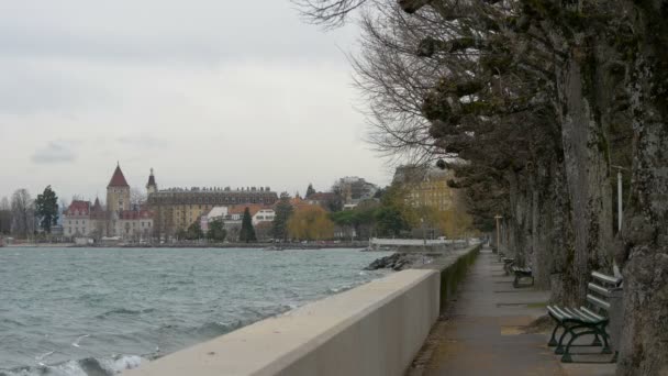 Alley Längs Genèvesjöns Strand — Stockvideo