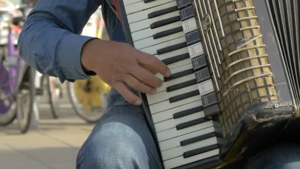 Suonare Fisarmonica Sulla Strada Della Città — Video Stock