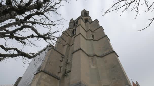 Låg Vinkel Lausanne Katedralens Torn Och Grenar — Stockvideo