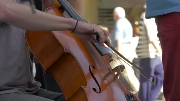 Spiller Cello Dagtid – stockvideo