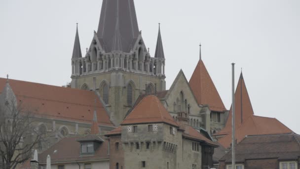 Lausannes Domkyrka Lausanne — Stockvideo