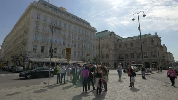 奥地利维也纳阿尔韦蒂娜广场的游客 — 图库视频影像