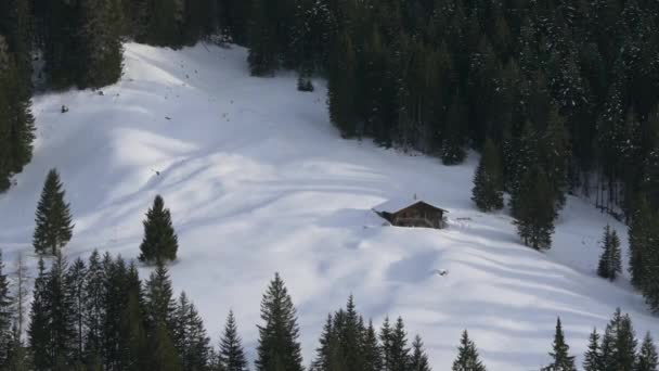 Casa Madera Una Abertura Forestal — Vídeo de stock