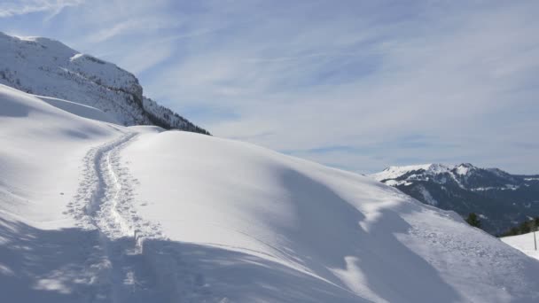 Camino Nieve — Vídeos de Stock