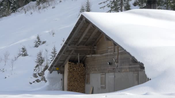 被雪覆盖的房子 — 图库视频影像