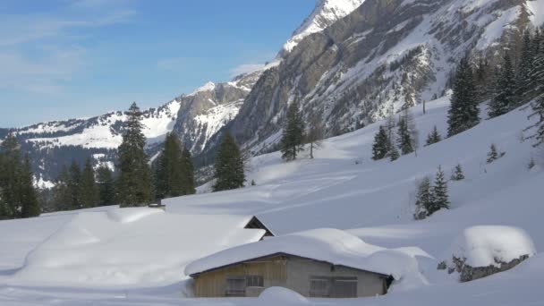 Casas Cobertas Neve — Vídeo de Stock