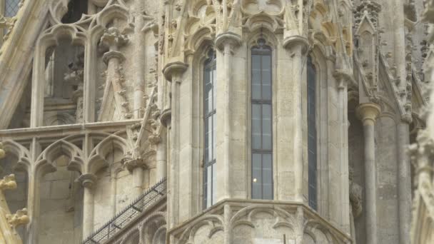 Décoration Gothique Stephansdom — Video