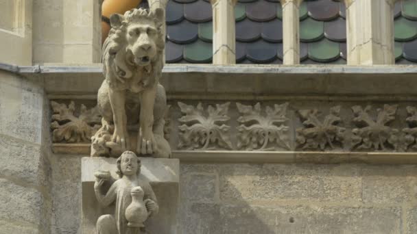 Vue Rapprochée Une Gargouille Ressemblant Lion — Video