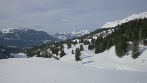 Paesaggio Invernale Gstaad — Video Stock