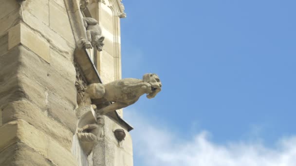 Gargoyle Edificio — Video Stock