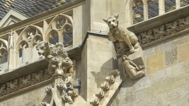 Blick Auf Wasserspeier Vom Stephansdom — Stockvideo