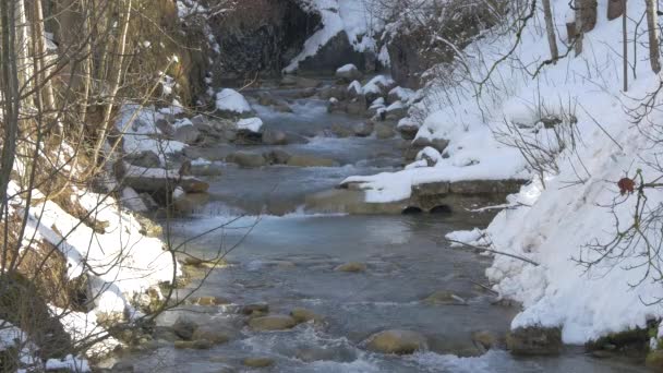 Pequeño Río Que Fluye Gstaad — Vídeos de Stock