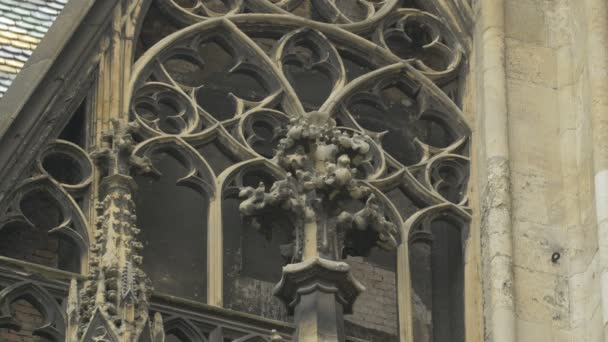 Gotiska Detaljer Stephansdom — Stockvideo