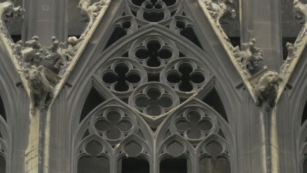 Gotyckie Dekoracje Stephansdom — Wideo stockowe