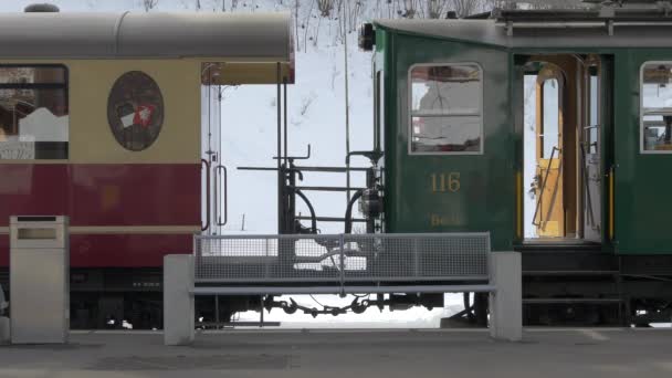 Tågledare Och Vagnar Järnvägsstation — Stockvideo