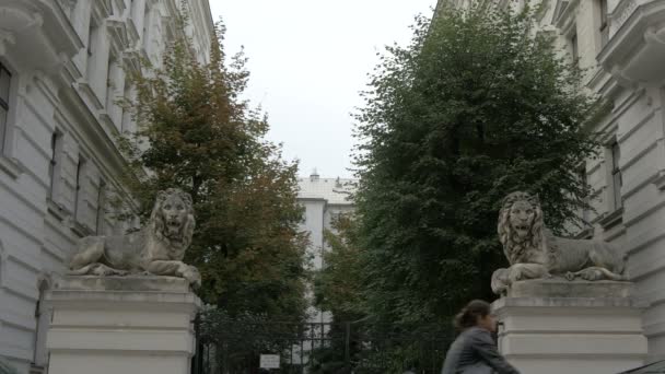 Lion Sculptures Vienna — Stock Video