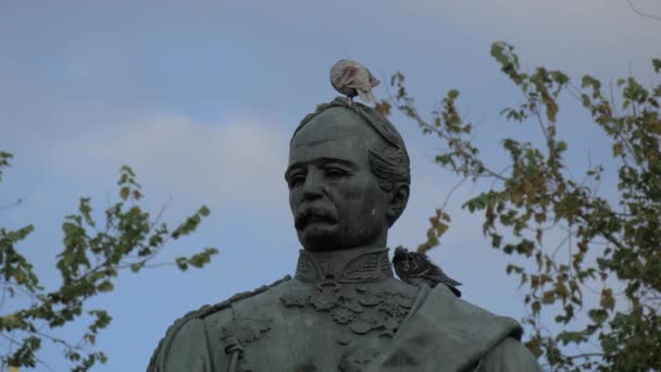 Großaufnahme Von Tauben Auf Einer Statue — Stockvideo