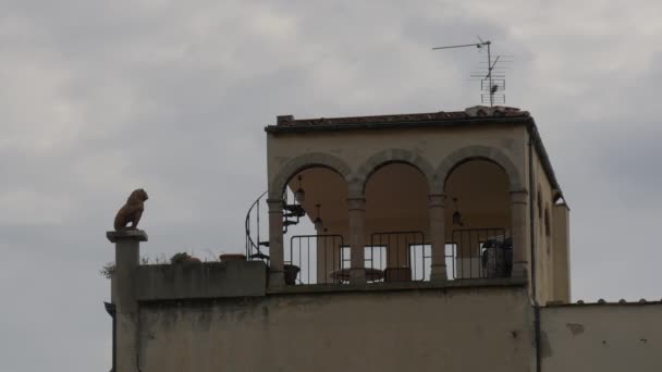 Eine Löwenskulptur Auf Einer Terrasse — Stockvideo