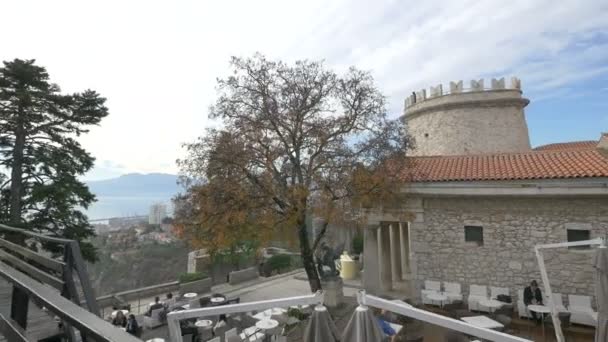 Castle Seen Wooden Platform — Stock Video