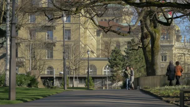 Vicolo Del Parco Nel Centro Storico Berna — Video Stock