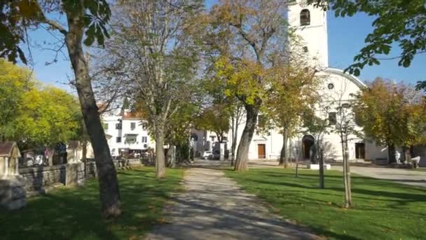 Ruelle Pavée Pierre Avec Des Arbres — Video