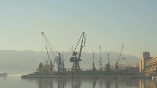 Grues Dans Port — Video