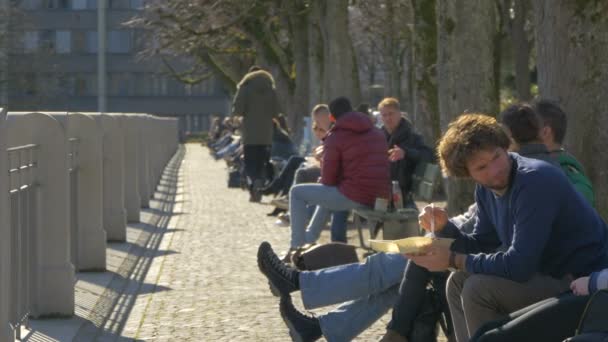 Люди Відпочивають Їдять Алеї Парку — стокове відео