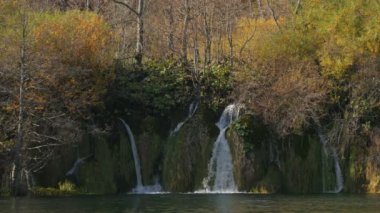 Plitvice Parkı 'ndaki şelale ve bitki örtüsü