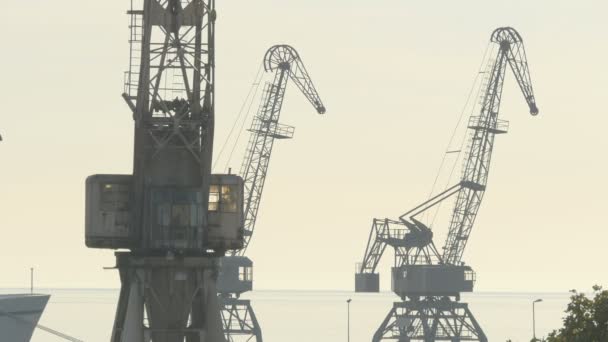 Tower Cranes Port — Stock Video