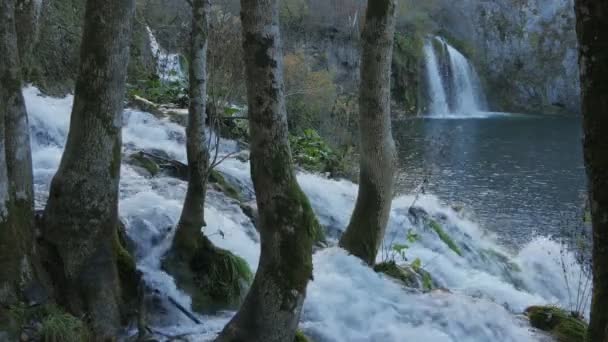 Watervallen Boomstammen Bij Plitvice Park — Stockvideo