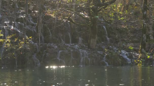 Small Waterfalls Forest Plitvice Park — Vídeos de Stock