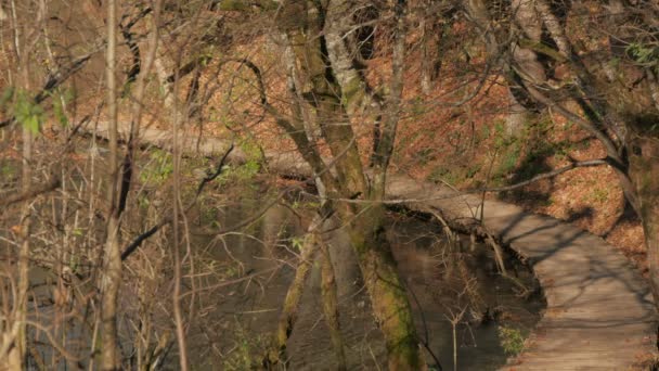 Pad Langs Een Meer Bij Plitvice Park — Stockvideo