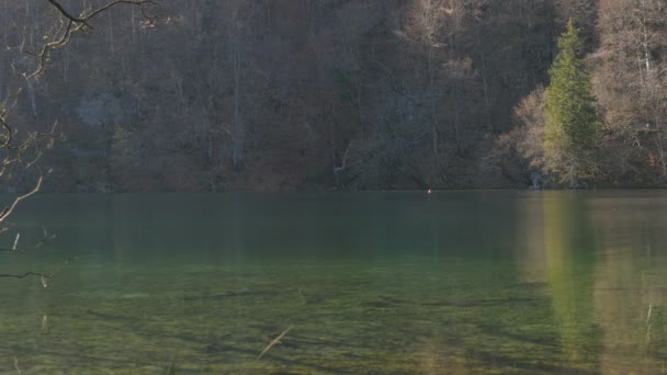 Lago Claro Parque Plitvice — Vídeos de Stock