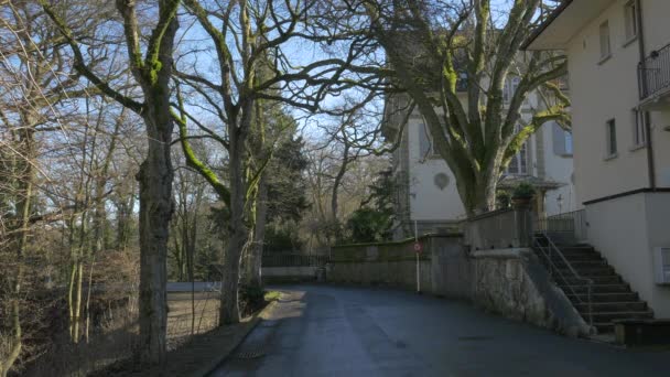 Arbres Sans Feuilles Sur Une Ruelle — Video