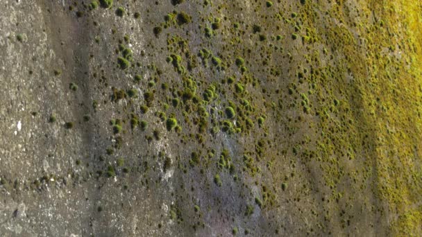 石墙覆盖着苔藓 — 图库视频影像