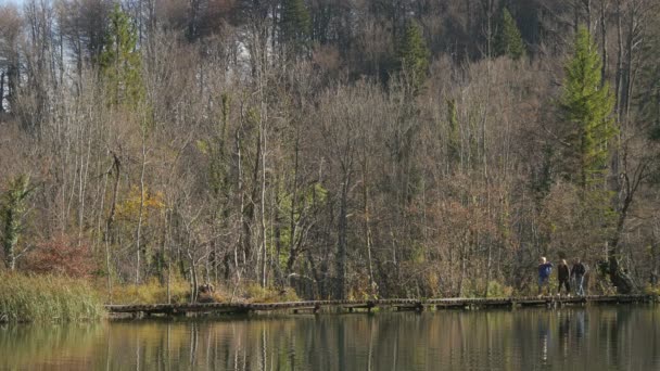 Wandelen Langs Het Meer Bij Plitvice Park — Stockvideo