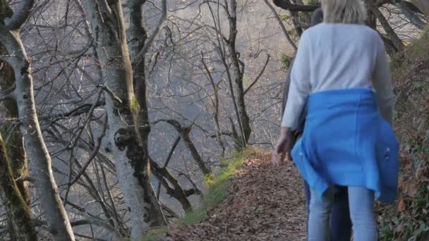 Kävely Vaellus Polkuja Plitvice Park — kuvapankkivideo