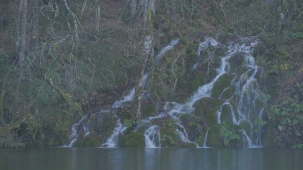 Waterval Een Bos Bij Plitvice Park — Stockvideo