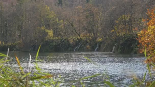 Meer Bos Bij Plitvice Park — Stockvideo