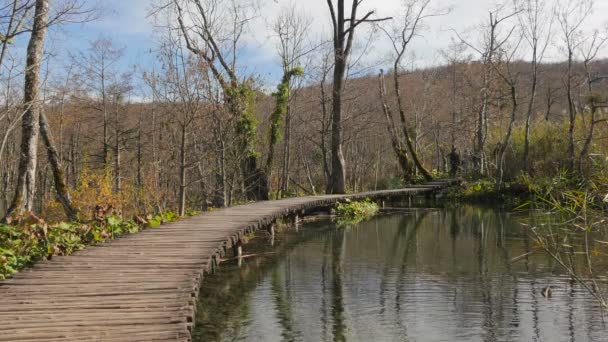 Calçadão Madeira Longo Lago Plitvice Park — Vídeo de Stock