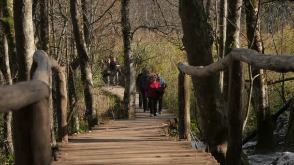 Grupo Turistas Que Visitam Plitvice Park — Vídeo de Stock