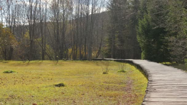 Caminho Campo Madeira Plitvice Park — Vídeo de Stock